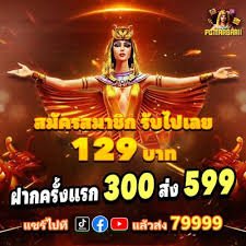 vnz666